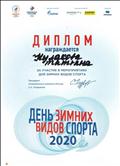 Победитель городской семейной эстафеты в рамках мероприятий "Дня зимних видов спорта", 2020